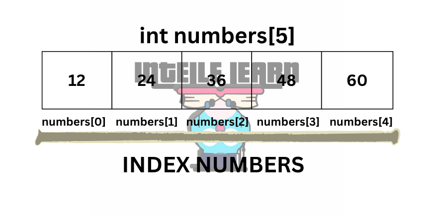 real life example of a variable
