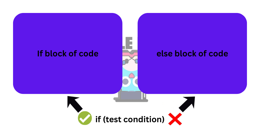 real life example of a variable