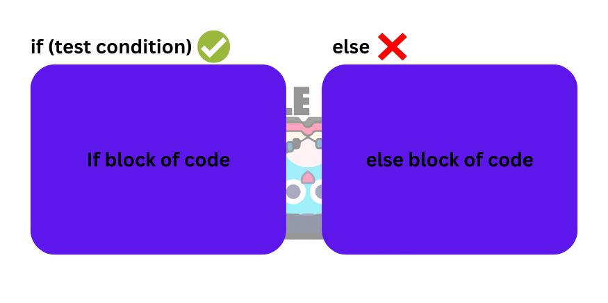 real life example of a variable
