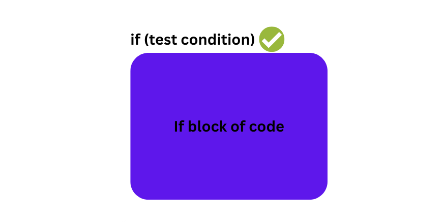 real life example of a variable