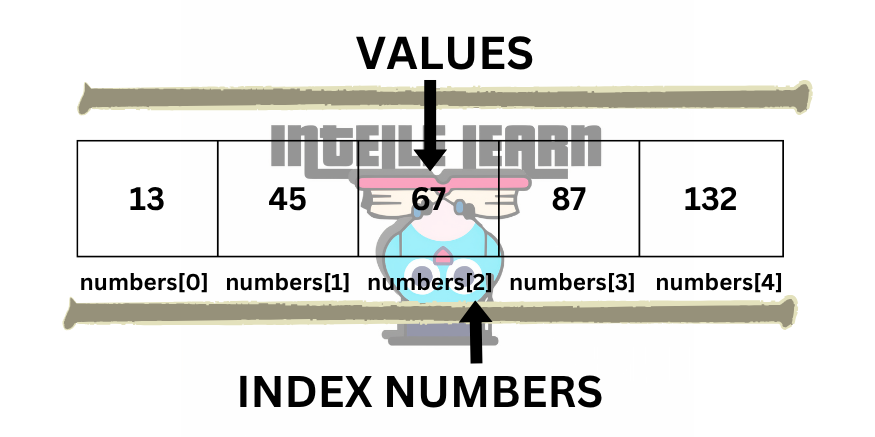 real life example of a variable
