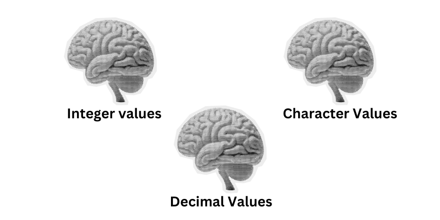 real life example of a variable