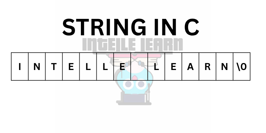 real life example of a variable